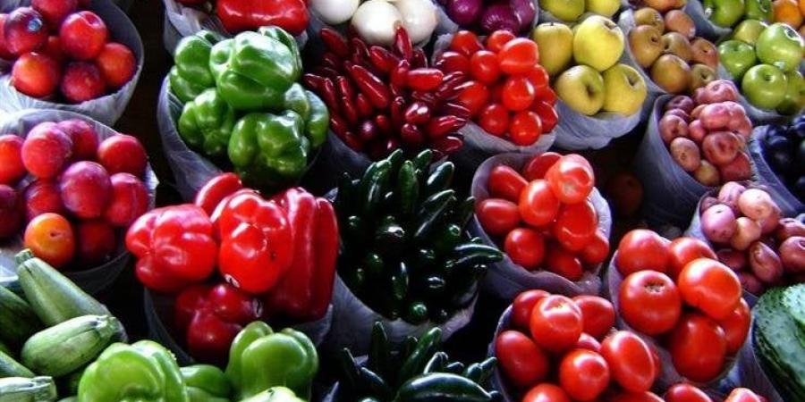 الطماطم
      بـ
      17.5
      جنيه..
      أسعار
      الخضروات
      والفاكهة
      اليوم
      الأحد
      19
      أكتوبر
      2025 - بوابة المساء الاخباري