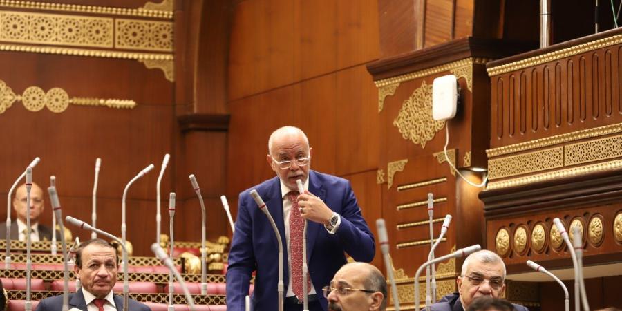 برلماني يطالب وزير النقل بإنارة الطريق الدولي ببرج البرلس ووضع حلول عاجلة للحوادث المتكررة - الفجر سبورت