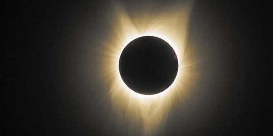 محافظ الأقصر يشهد فعاليات اللقاء المشترك لعرض الفرص الاستثمارية مع مقاطعة سيتشوان الصينية - الفجر سبورت