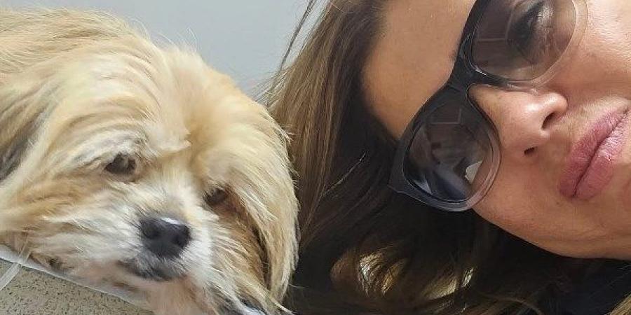 رانيا فريد شوقي تتصدر تريند مؤشر البحث جوجل لهذا السبب - الفجر سبورت