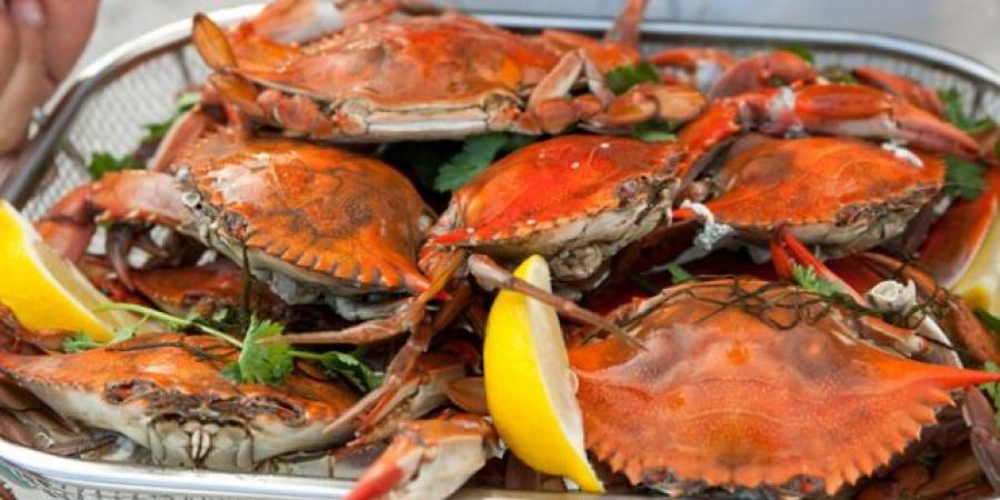 متبلة ولذيذة.. طريقة عمل الكابوريا - الفجر سبورت