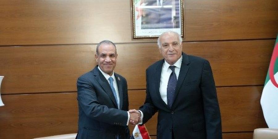 وزير الخارجية يعرب عن تطلع مصر لتبادل الخبرات مع الجزائر - الفجر سبورت