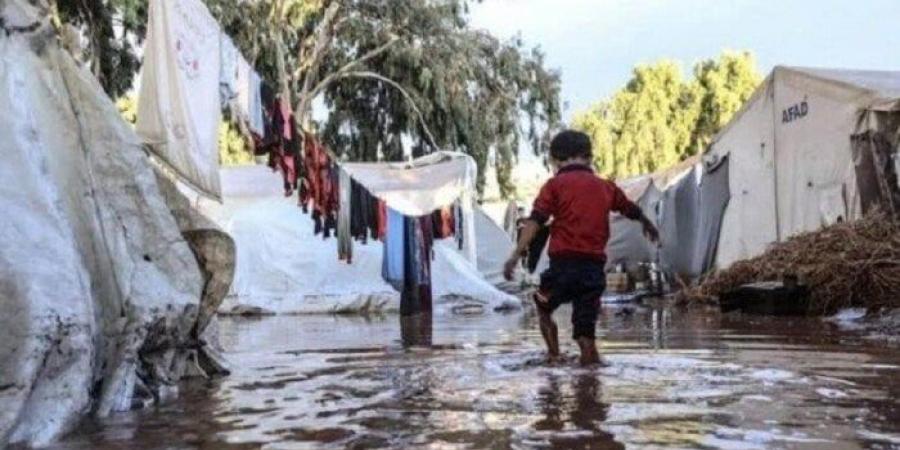 الهيئة الدولية «حشد»: كارثة إنسانية وشيكة في غزة مع اقتراب فصل الشتاء - الفجر سبورت