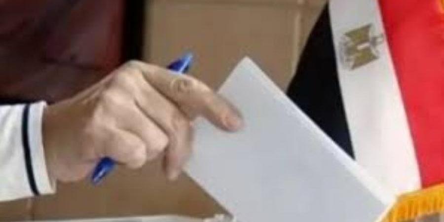 غدا.. المصريون بالخارج يصوتون بانتخابات مجلس النواب للمرحلة الأولى - الفجر سبورت