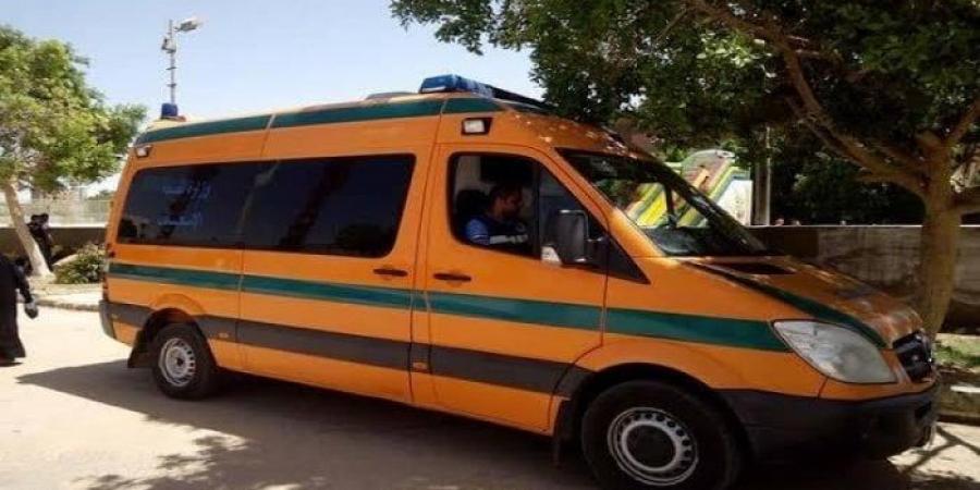 مصرع وإصابة 6 أشخاص في تصادم بالقناطر الخيرية - الفجر سبورت