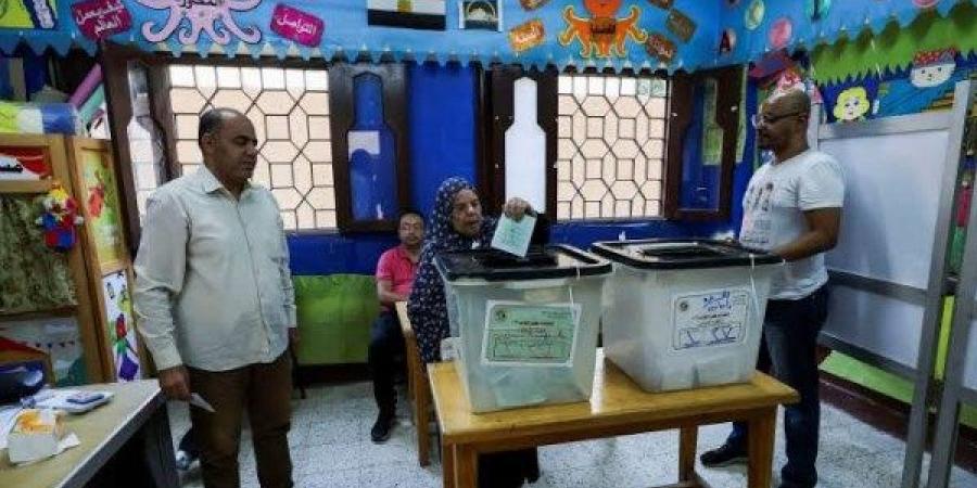 انتخابات مجلس النواب.. منظمات حقوقية ودولية تتابع سير التصويت في لجنة إمبابة - الفجر سبورت