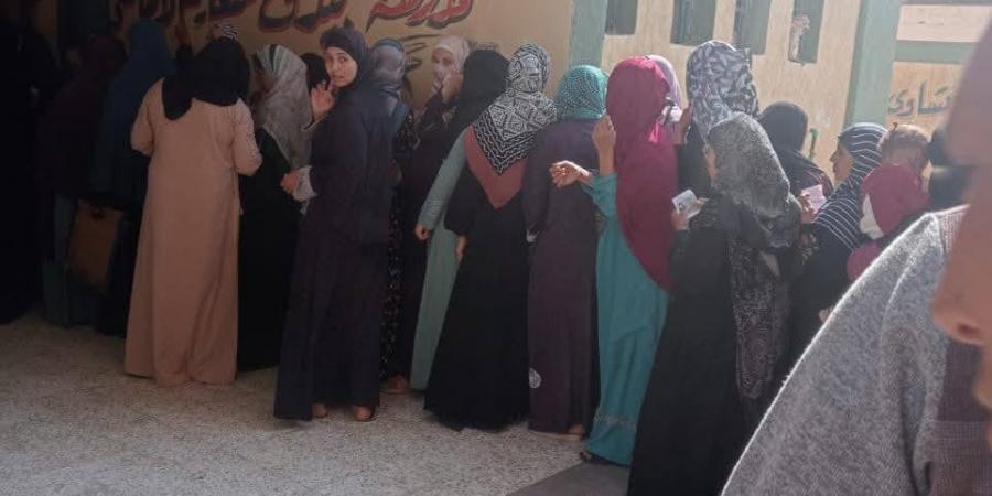 حضور نسائي مكثف على لجنة مجمع المدارس بالحوامدية - الفجر سبورت