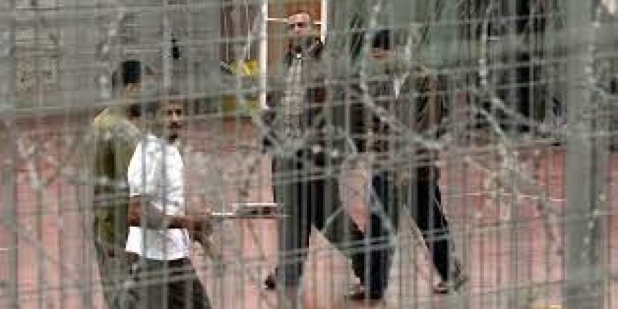 محمد أبو شامة: قانون إعدام الأسرى ليس جديدا ويستخدم أداة دعائية وسياسية - الفجر سبورت