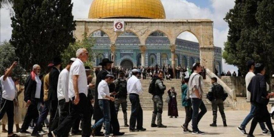 مستوطنون يقتحمون باحات المسجد الأقصى وقوات الاحتلال تعتقل 26 فلسطينيا من الضفة - الفجر سبورت