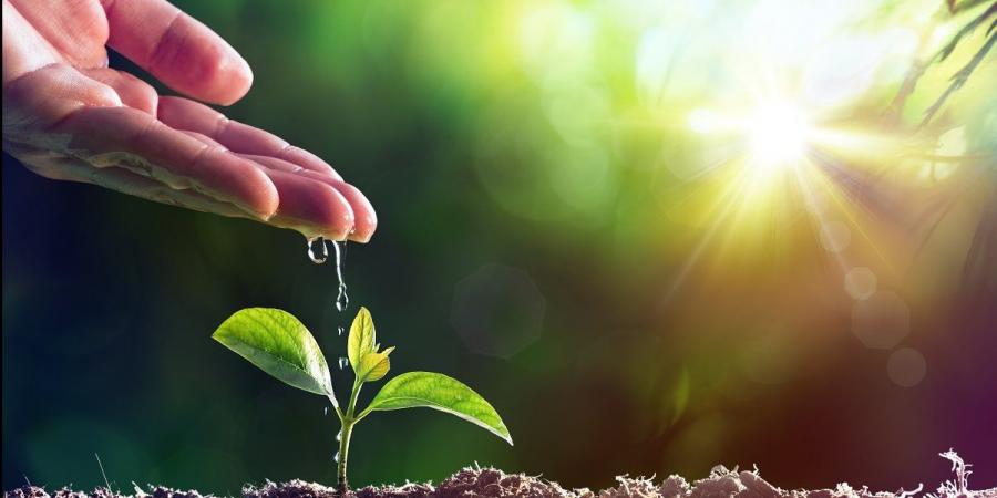 أفضل صدقة للميت.. ثواب مستمر ينتفع به الإنسان بعد الوفاة - الفجر سبورت