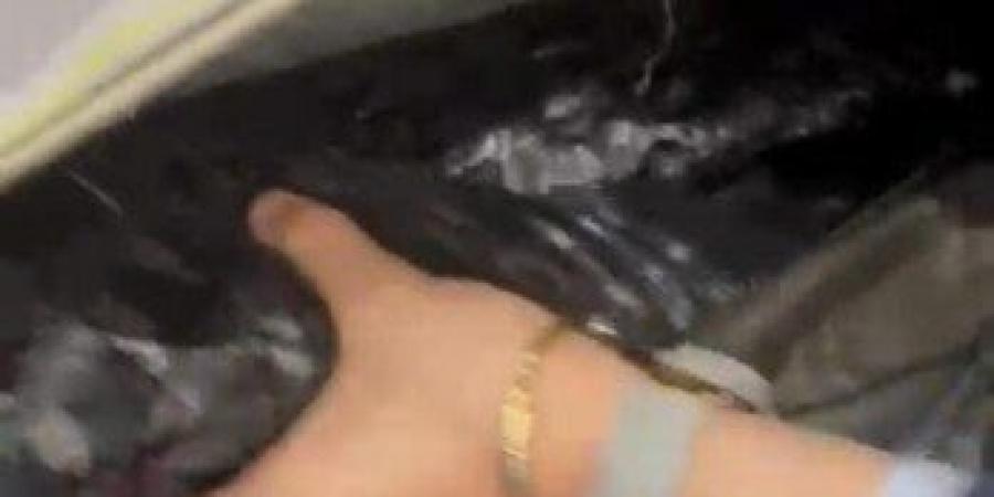 جمارك مطار القاهرة تتصدى لهجمات مهربي المخدرات بضبط عشرين كيلو مجددًا - الفجر سبورت