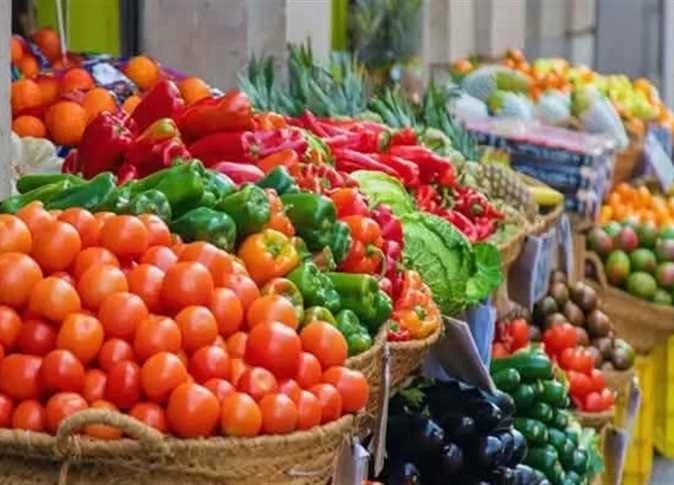 الطماطم ترتفع لـ 25 جنيها.. أسعار الخضروات والفاكهة بأسواق المنيا اليوم