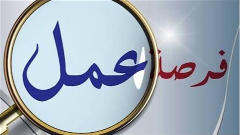 وزارة العمل: 150 فرصة عمل لأفراد الأمن والحراسة.. برواتب تصل إلى 9 آلاف جنيه