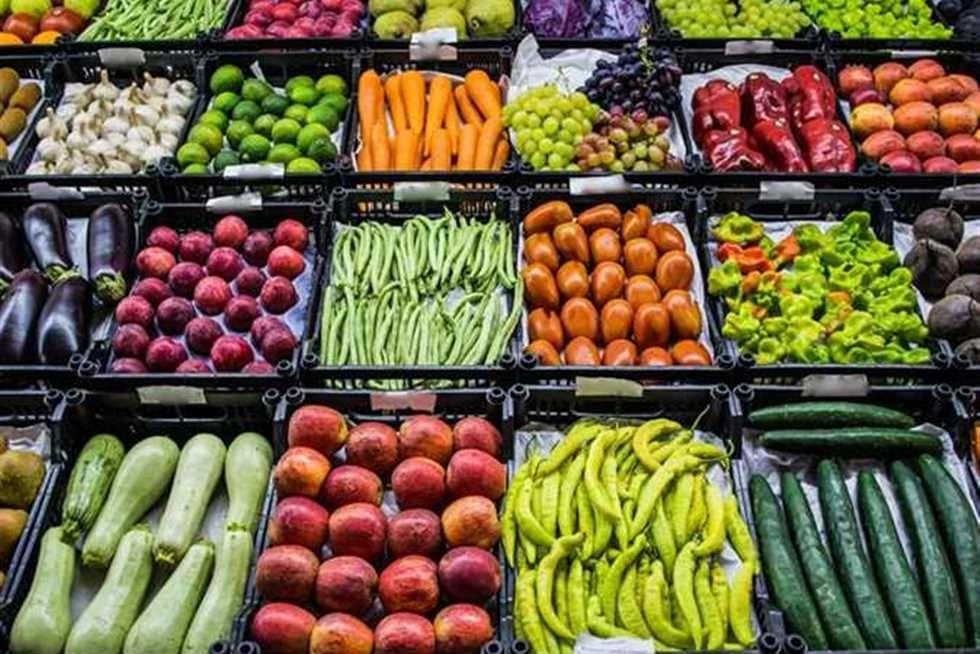 أسعار الخضراوات والفاكهة بأسواق القليوبية اليوم.. الطماطم بـ 13 والبرتقال بـ 20 جنيها