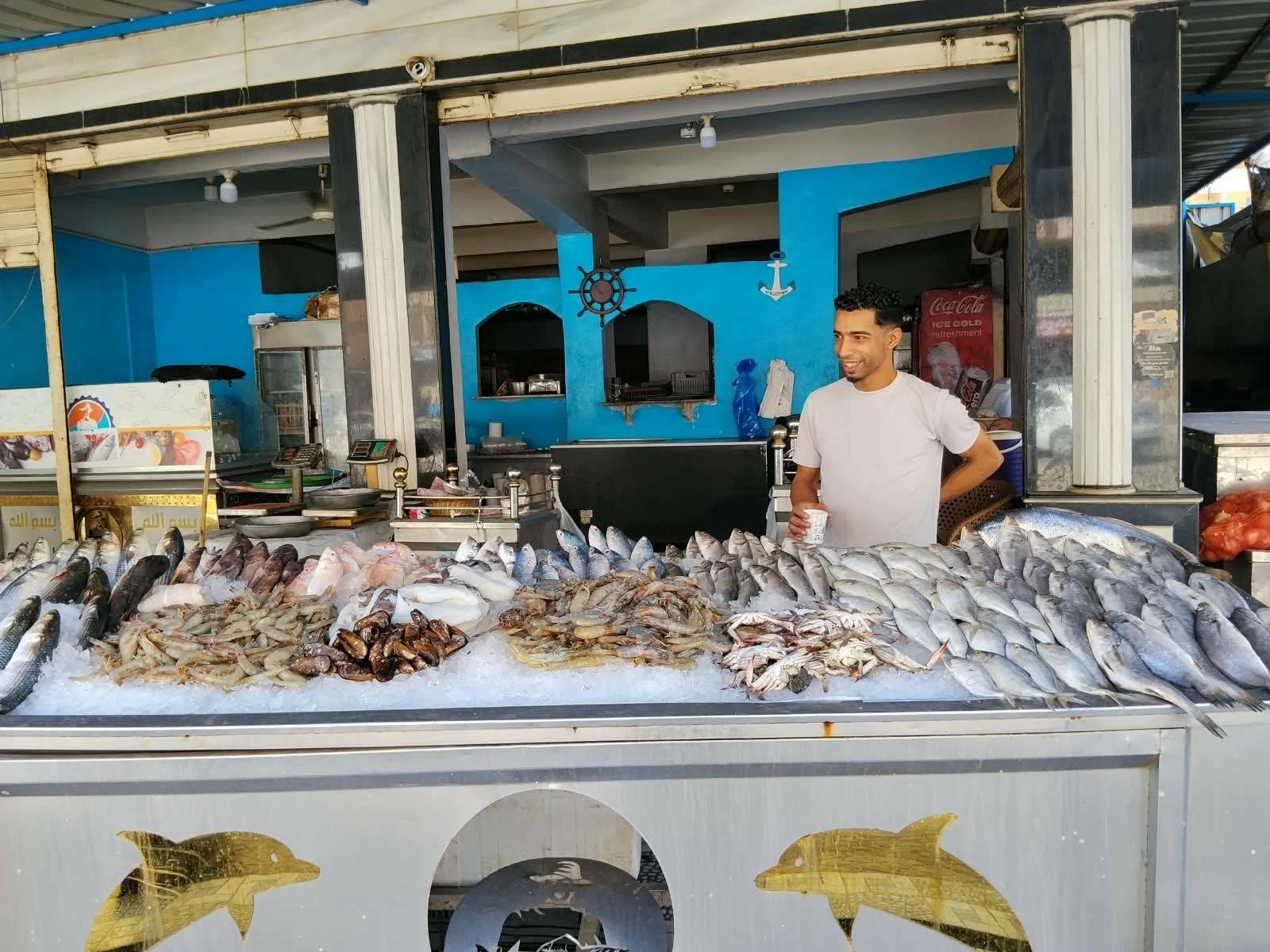 الكابوريا بـ230.. أسعار السمك والمأكولات البحرية بأسواق الإسكندرية اليوم الأربعاء 21 أكتوبر 2026