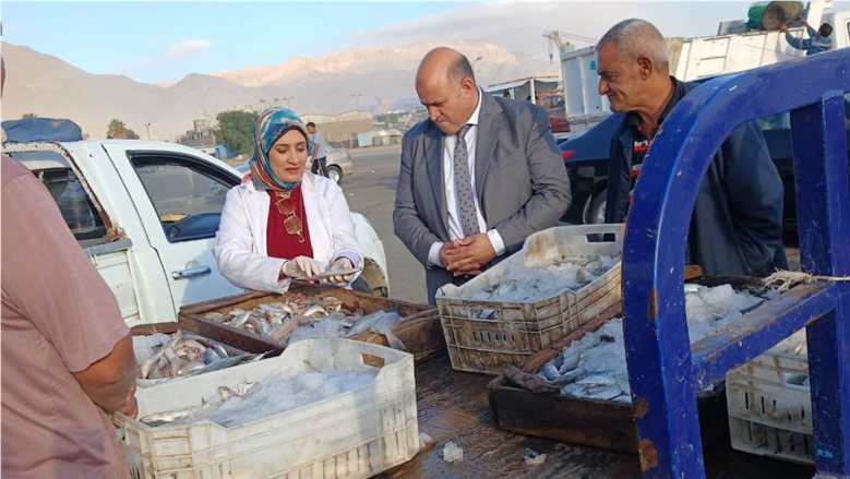 "الخدمات الطبية" تتابع سلامة الأسماك بميناء الأتكة بالسويس.. وتضبط كبدة فاسدة بالعبور