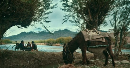 مهند دياب يكتب: الفيلم الهندى أحلام صغيرة كبيرة حين تتجاوز السينما حدود الإعاقة