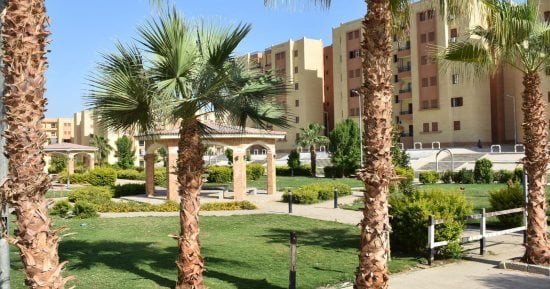 جهاز مدينة طيبة بالأقصر يواصل أعمال الصيانة ورفع كفاءة المسطحات الخضراء.. صور