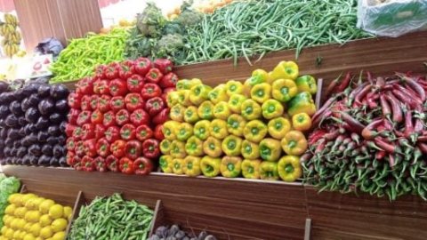 الطماطم بـ15 جنيه.. أسعار الخضروات بمحلات وأسواق الأقصر اليوم الثلاثاء