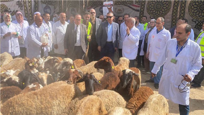 فحص وعلاج 954 رأس ماشية و6543 طائرا قافلة علاجية مجانية شاملة بالشرقية