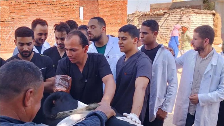 «الزراعة» تقدم خدمات الرعاية التناسلية لأكثر من 42 ألف رأس ماشية