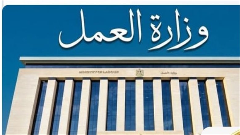 الاتحاد الدولي للتوظيف: دليل التشغيل بالخارج خطوة استراتيجية لتعزيز تنافسية العمالة المصرية عالميًا