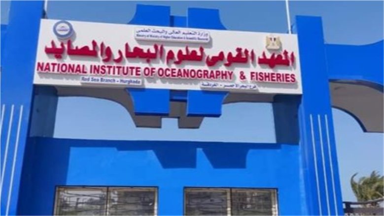 3 أبحاث مصرية صينية تحول مخلفات خيار البحر إلى ثروة اقتصادية