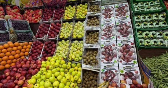 تفاوت فى أسعار الفاكهة بالإسماعيلية اليوم.. اعرف الأصناف والأسعار