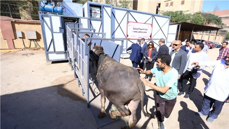 وزيرة التنمية المحلية والبيئة: الانتهاء من تطوير وتشغيل 43 مجزرًا حكوميًا بالمحافظات