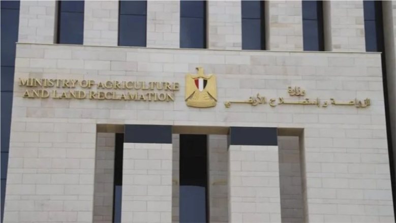 وزير الزراعة يتابع بشائر إنتاج الزيتون بالتجمعات الزراعية بسيناء