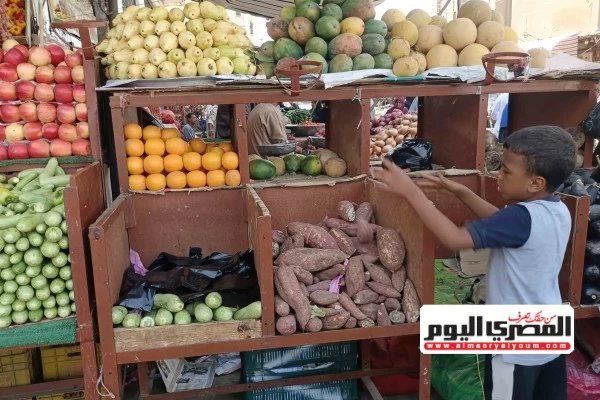 البامية بـ 50 جنيهًا.. أسعار الخضار والفاكهة في أسواق الإسكندرية اليوم الأربعاء 21 أكتوبر 2026