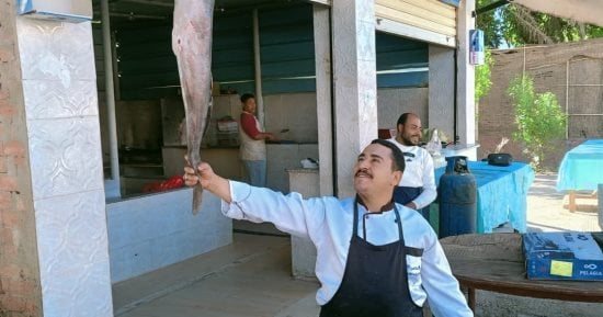 البلطى بـ60 جنيها.. اعرف أسعار الأسماك بالوادى الجديد اليوم الثلاثاء