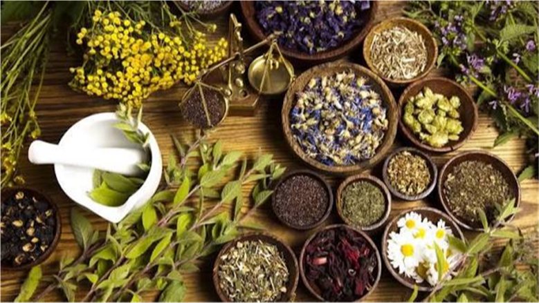 بعد تحقيقها 852 مليون دولار.. مصر تستهدف تعزيز صادرات النباتات الطبية والعطرية