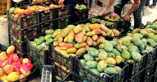 أسعار الفاكهة بالأسواق والمحلات بالأقصر اليوم الأربعاء 21 أكتوبر 2026